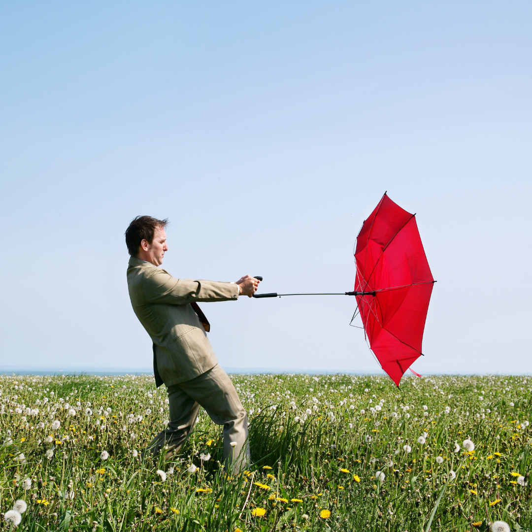 From Setback to Insight: Embracing Growth Through Adversity